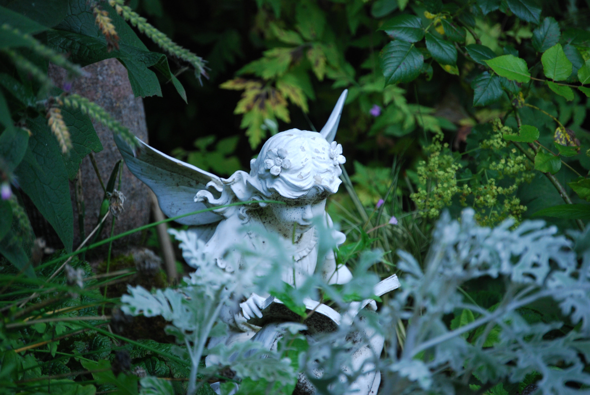 Nikon D40X sample photo. Angel photography