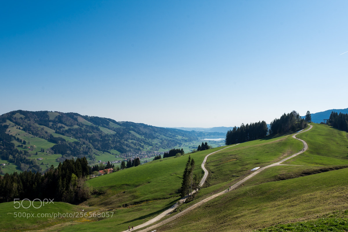 Nikon D7200 sample photo. Hündle photography