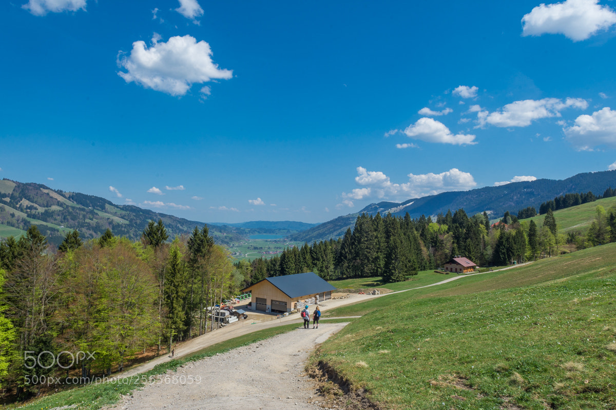 Nikon D7200 sample photo. Hündle photography