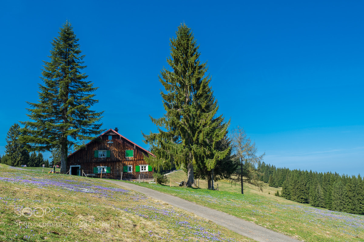 Nikon D7200 sample photo. Hündle photography