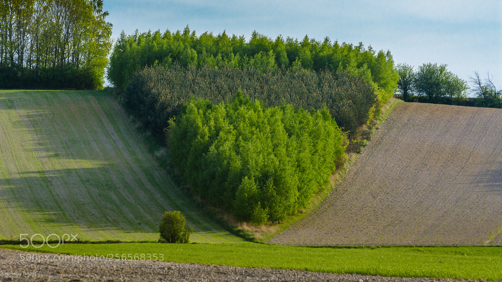 Nikon D7100 sample photo. Geometry photography