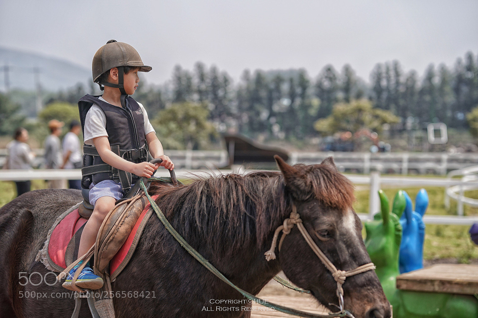 Sony a9 sample photo. Untitled photography