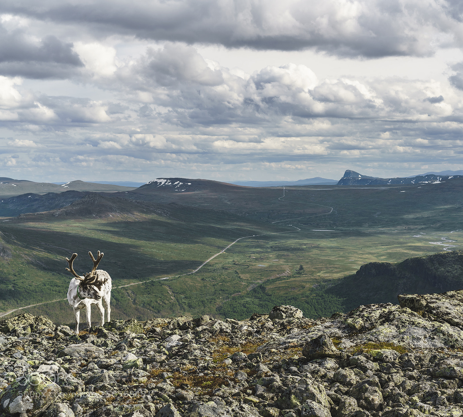 Sony a7R II sample photo. Hiking in norway photography