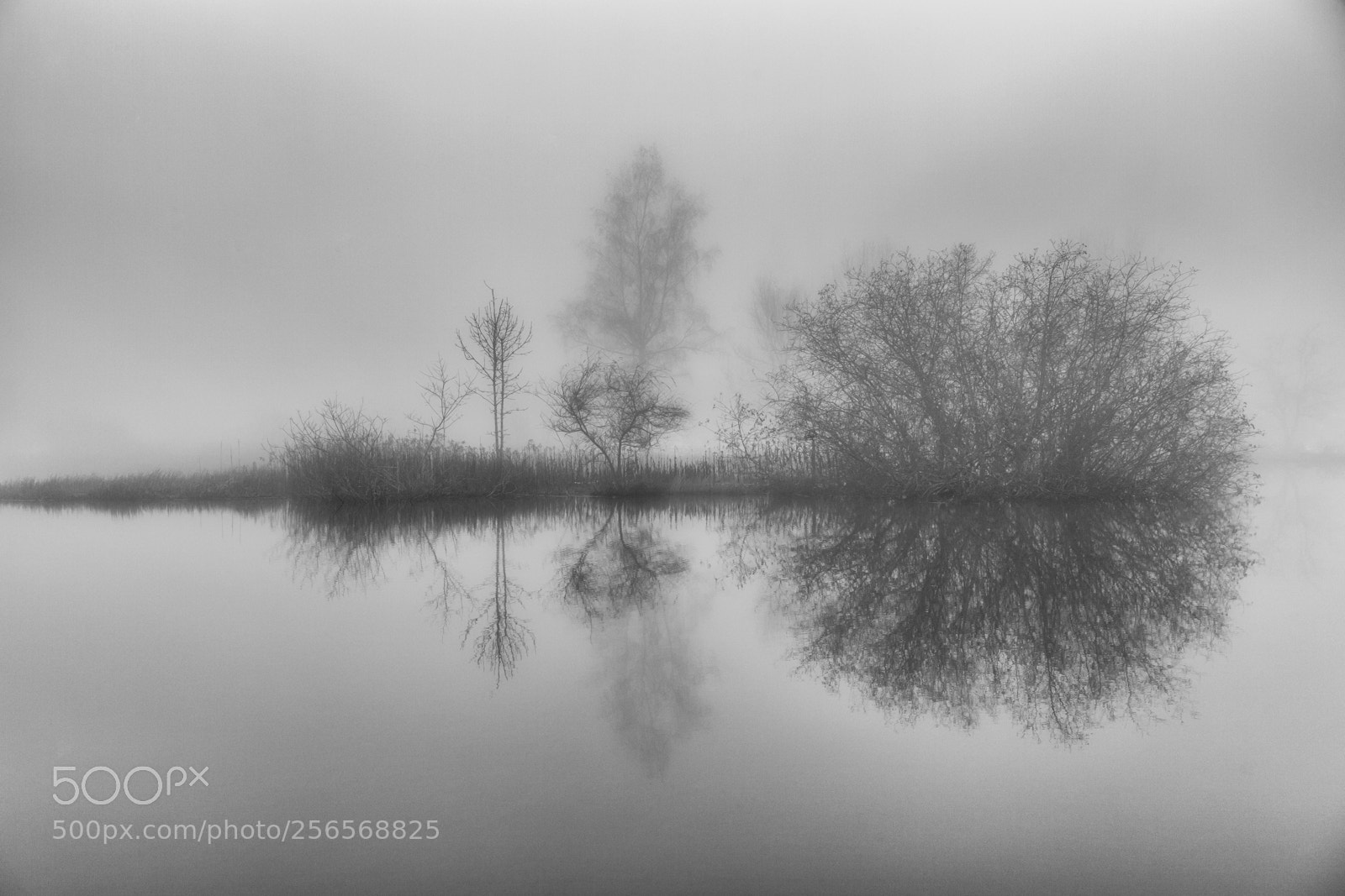 Canon EOS 5D Mark II sample photo. Misty lake photography