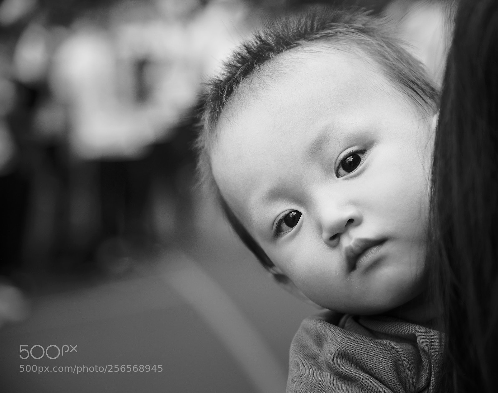 Nikon D610 sample photo. Untitled photography