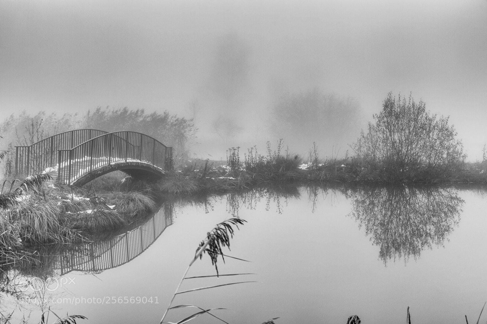 Canon EOS 5D Mark II sample photo. Misty lake photography