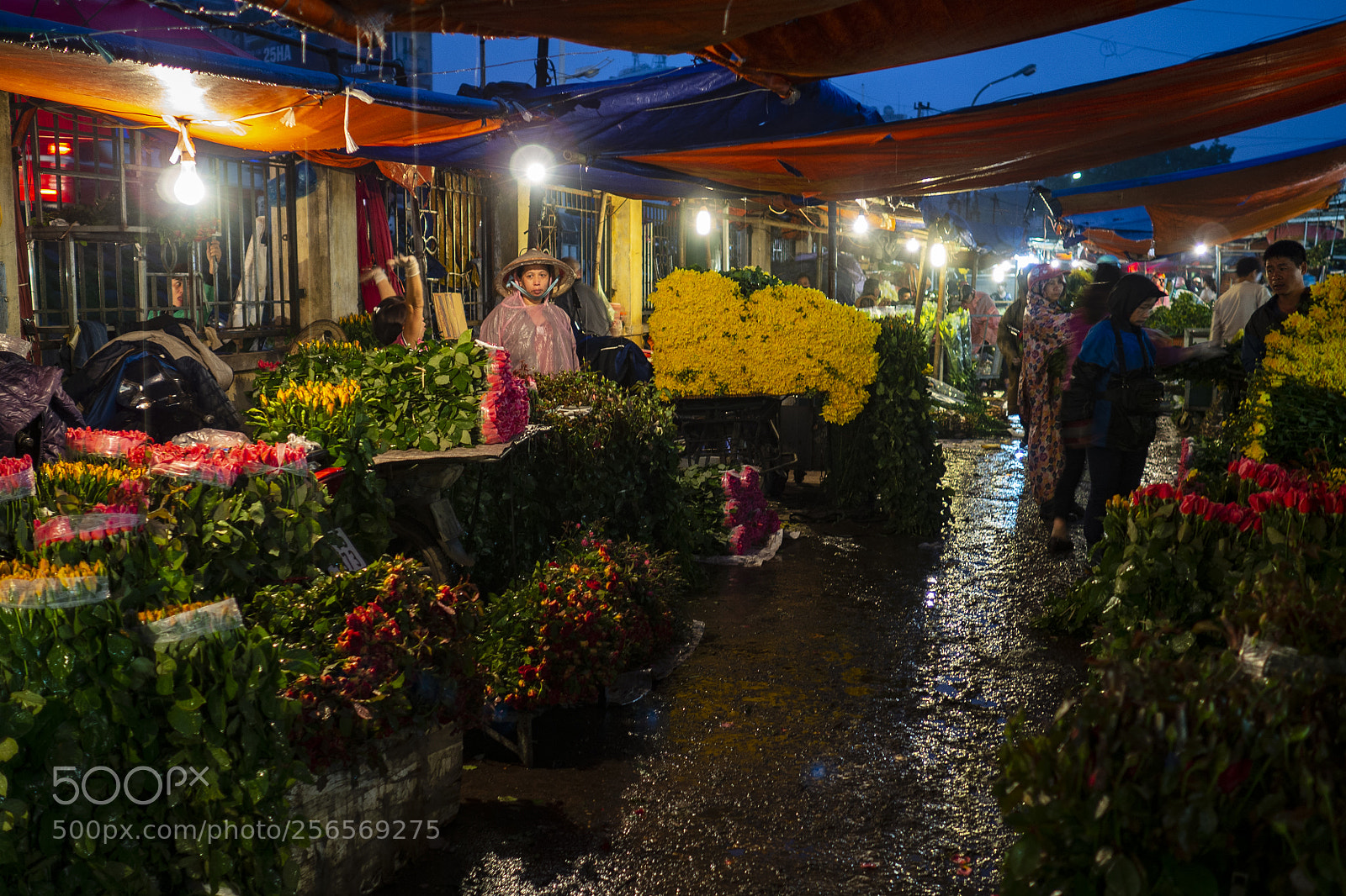 Olympus OM-D E-M10 II sample photo. Qug an flower market photography