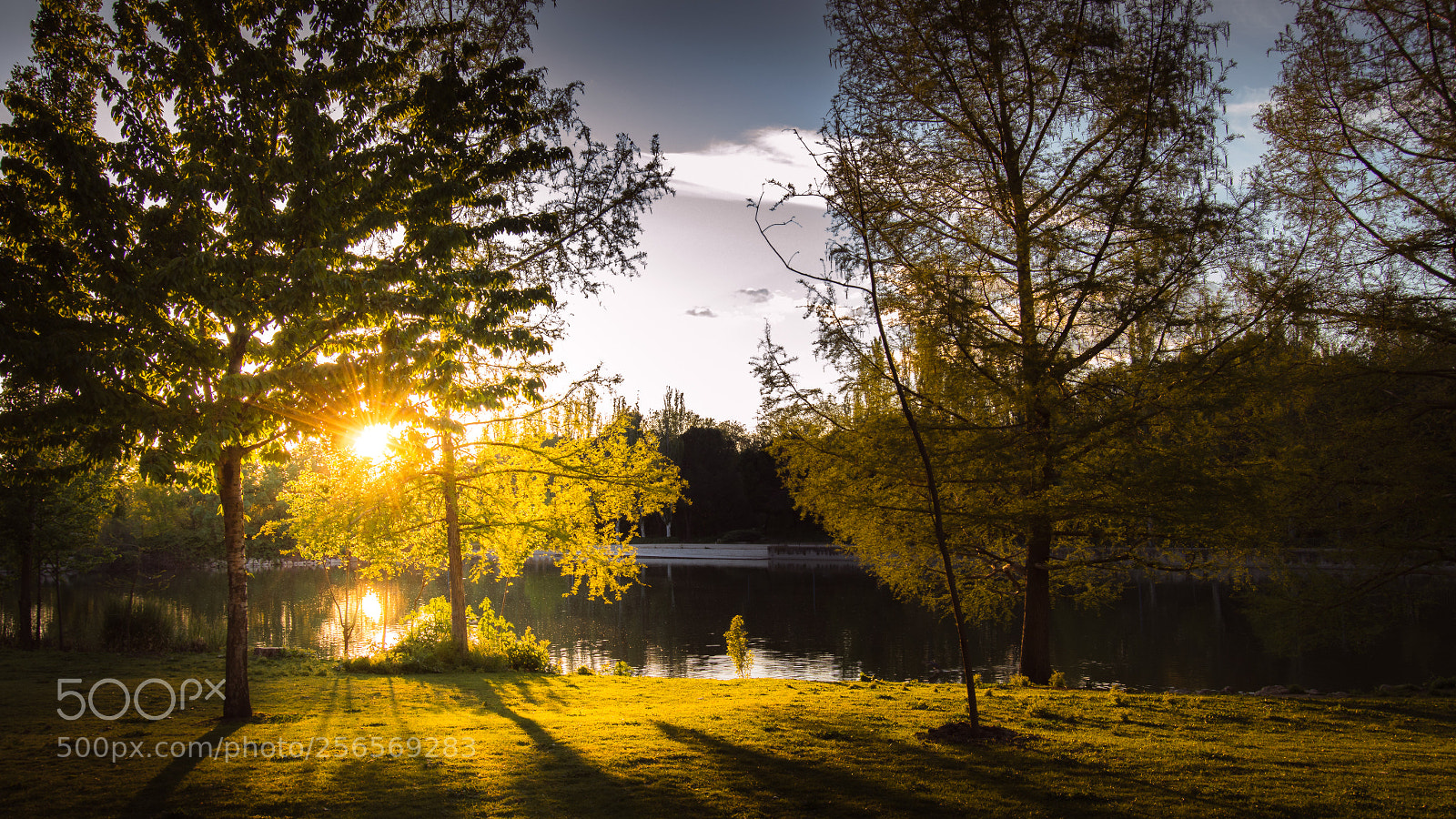 Nikon D3200 sample photo. Calm at the park photography
