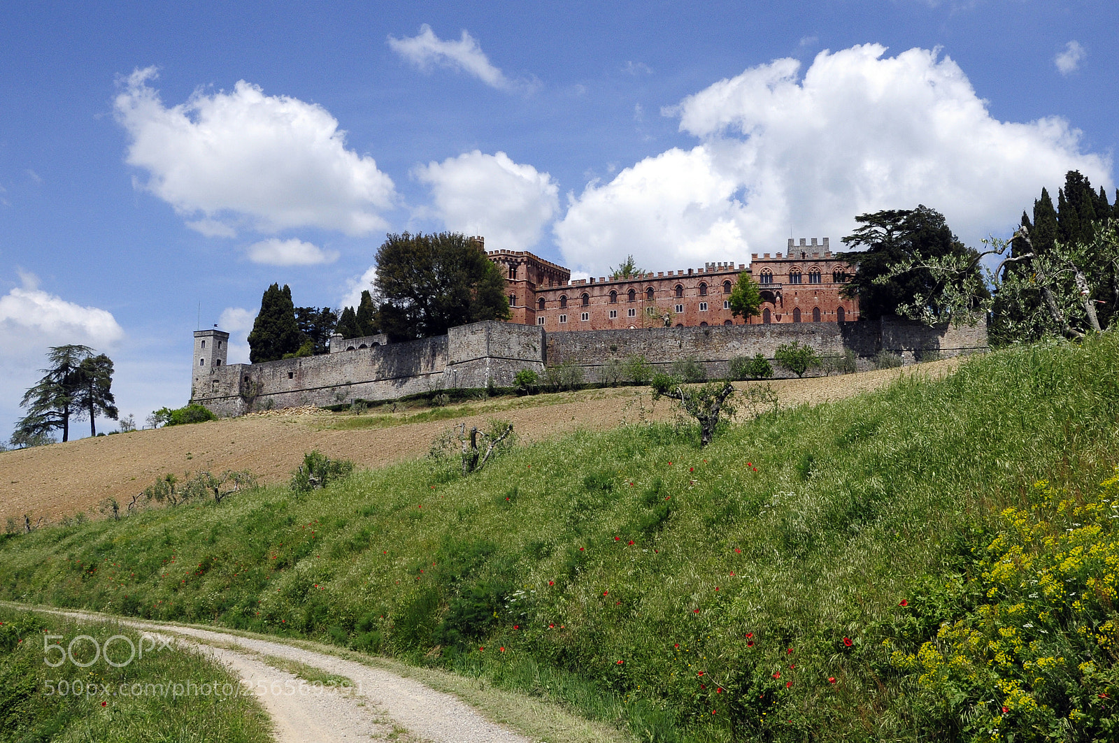 Nikon D90 sample photo. Castello di brolio photography