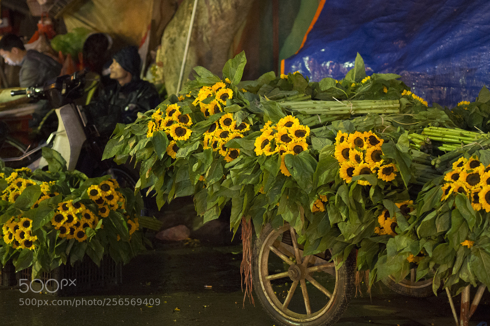 Olympus OM-D E-M10 II sample photo. Qug an flower market photography