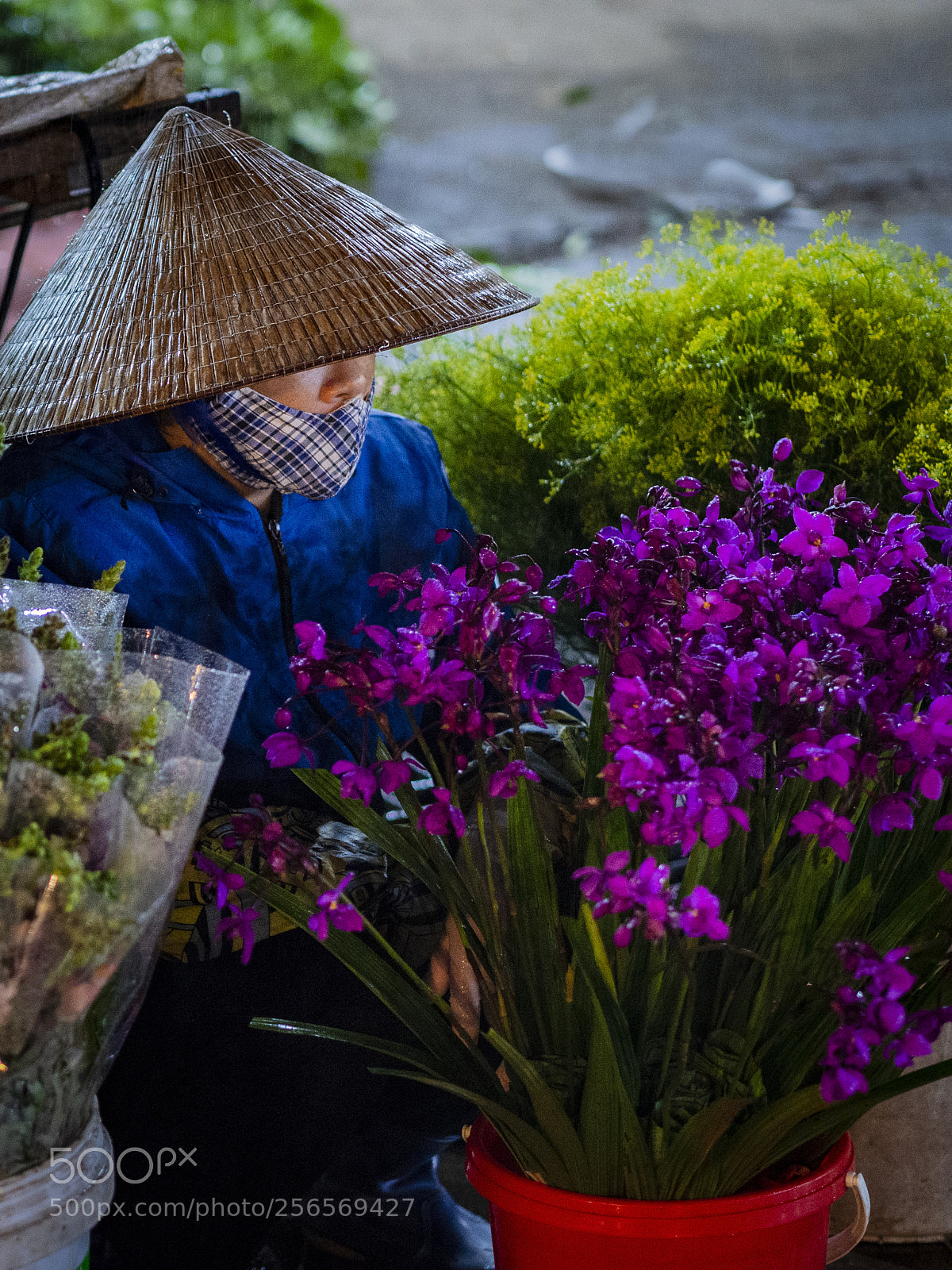 Olympus OM-D E-M10 II sample photo. Qug an flower market photography
