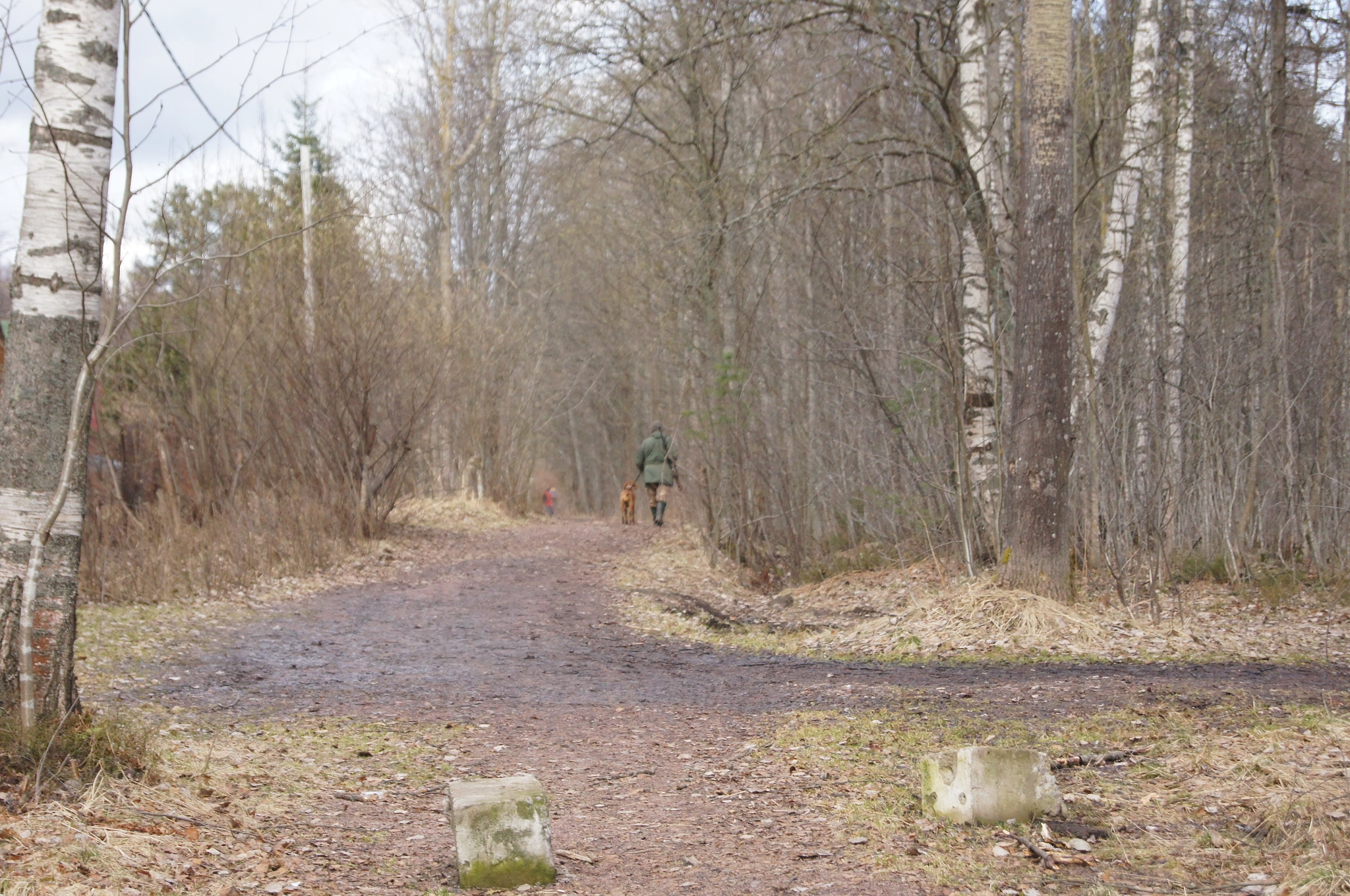 Sony Alpha DSLR-A580 sample photo. Road to the lake photography