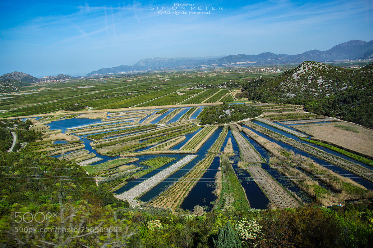 Sony SLT-A58 sample photo. Bosnia, neretva delta photography