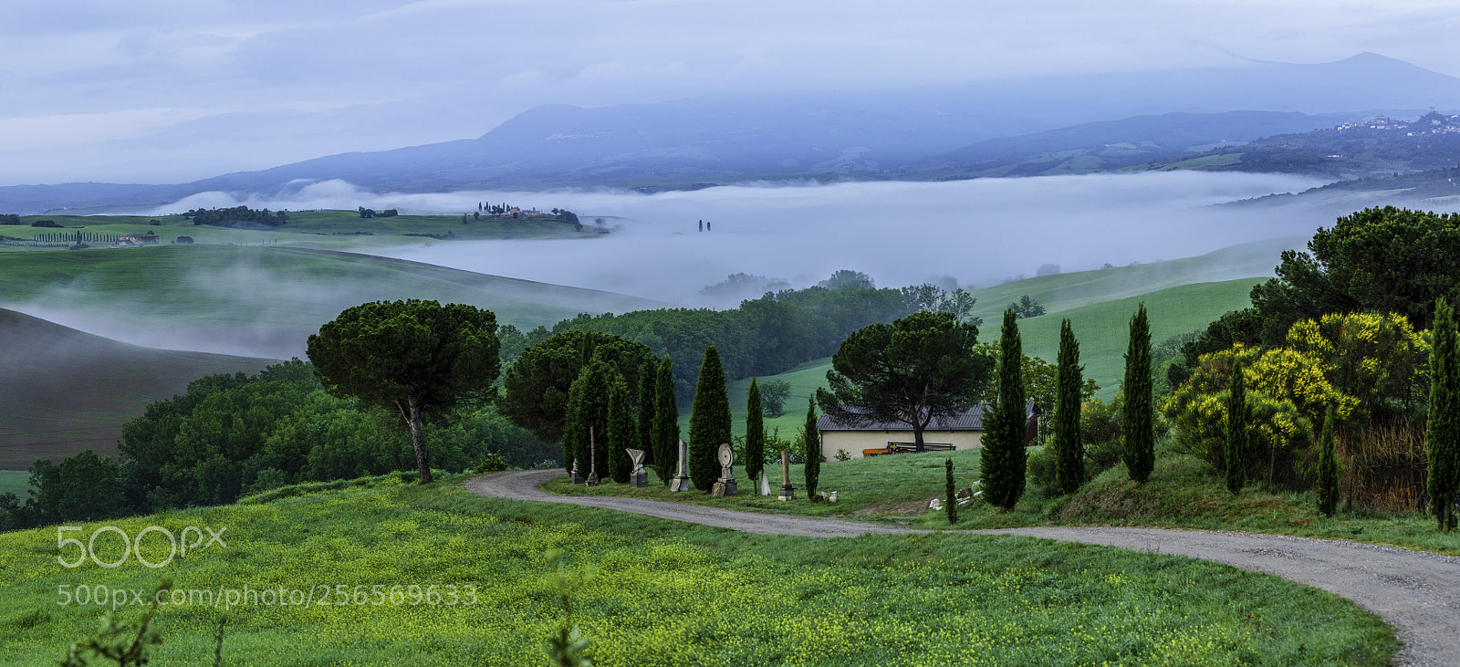 Canon EOS 5D Mark IV sample photo. Fog in the valley photography
