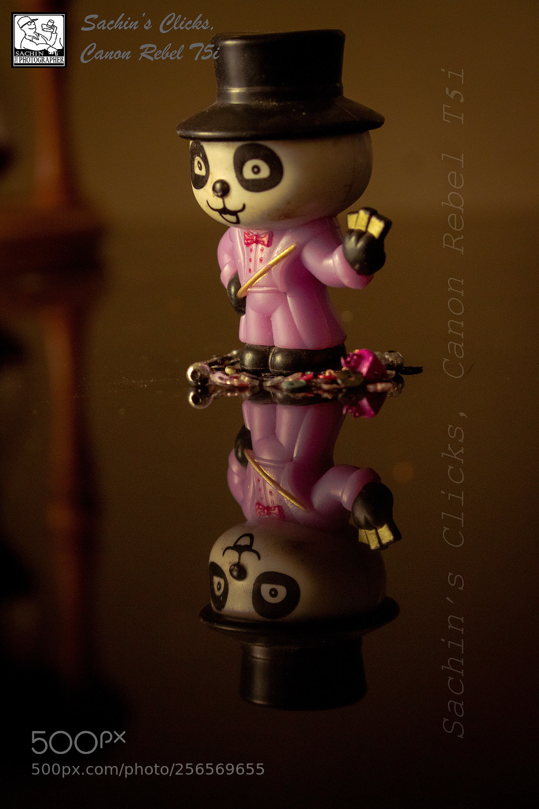 Canon EOS 700D (EOS Rebel T5i / EOS Kiss X7i) sample photo. Img photography