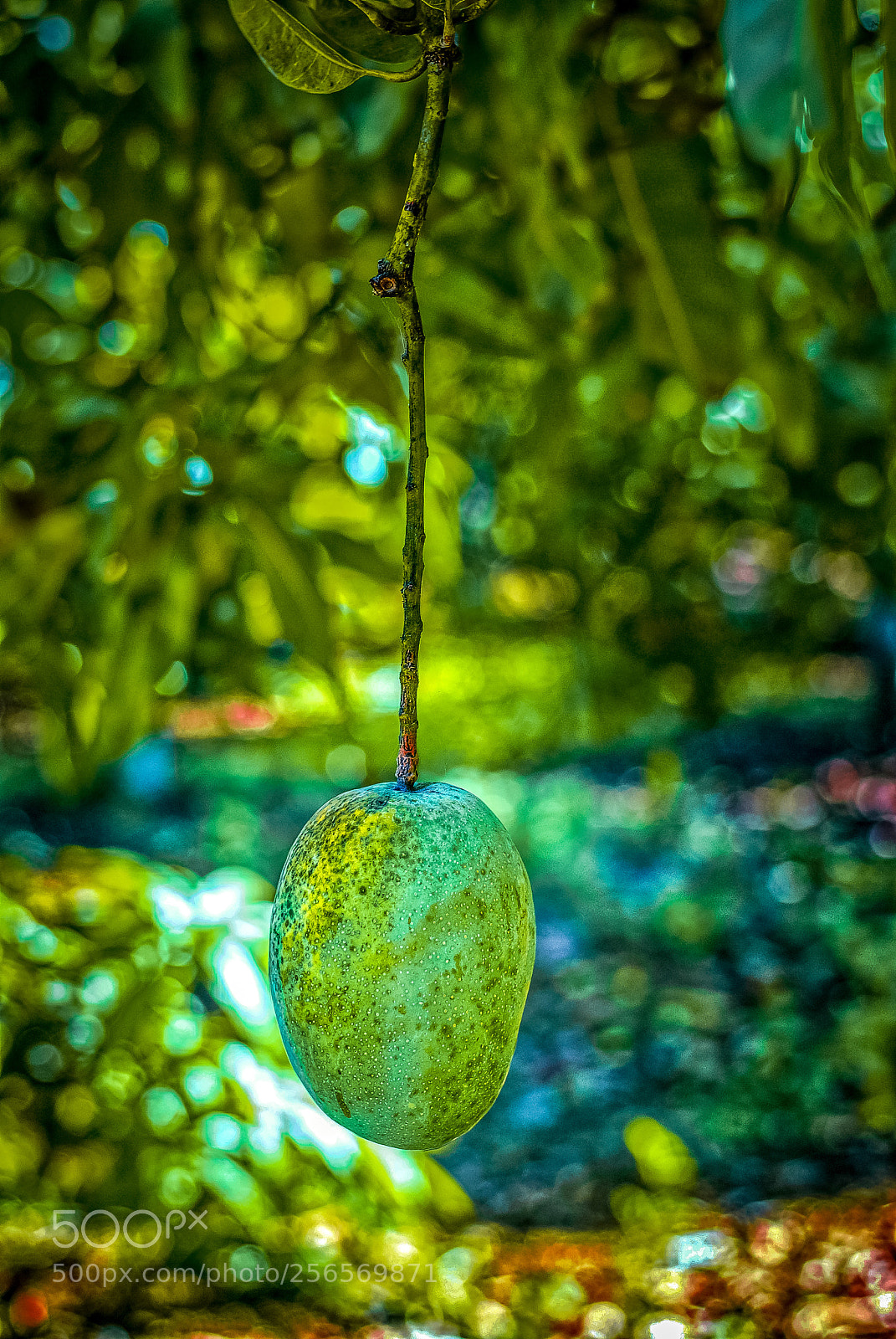 Nikon D3000 sample photo. Untitled photography