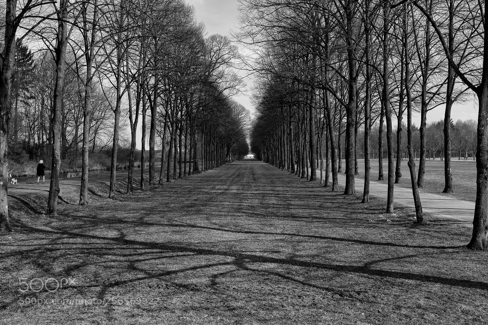 Fujifilm X100T sample photo. Same direction photography