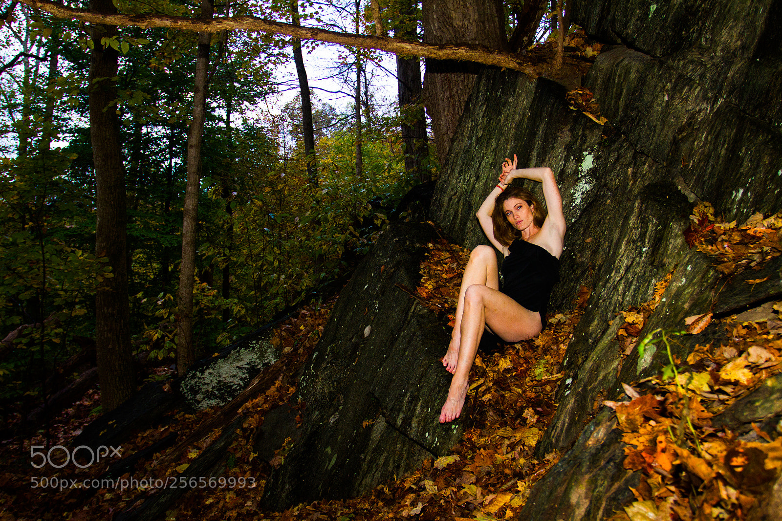 Canon EOS 7D sample photo. In the woods photography