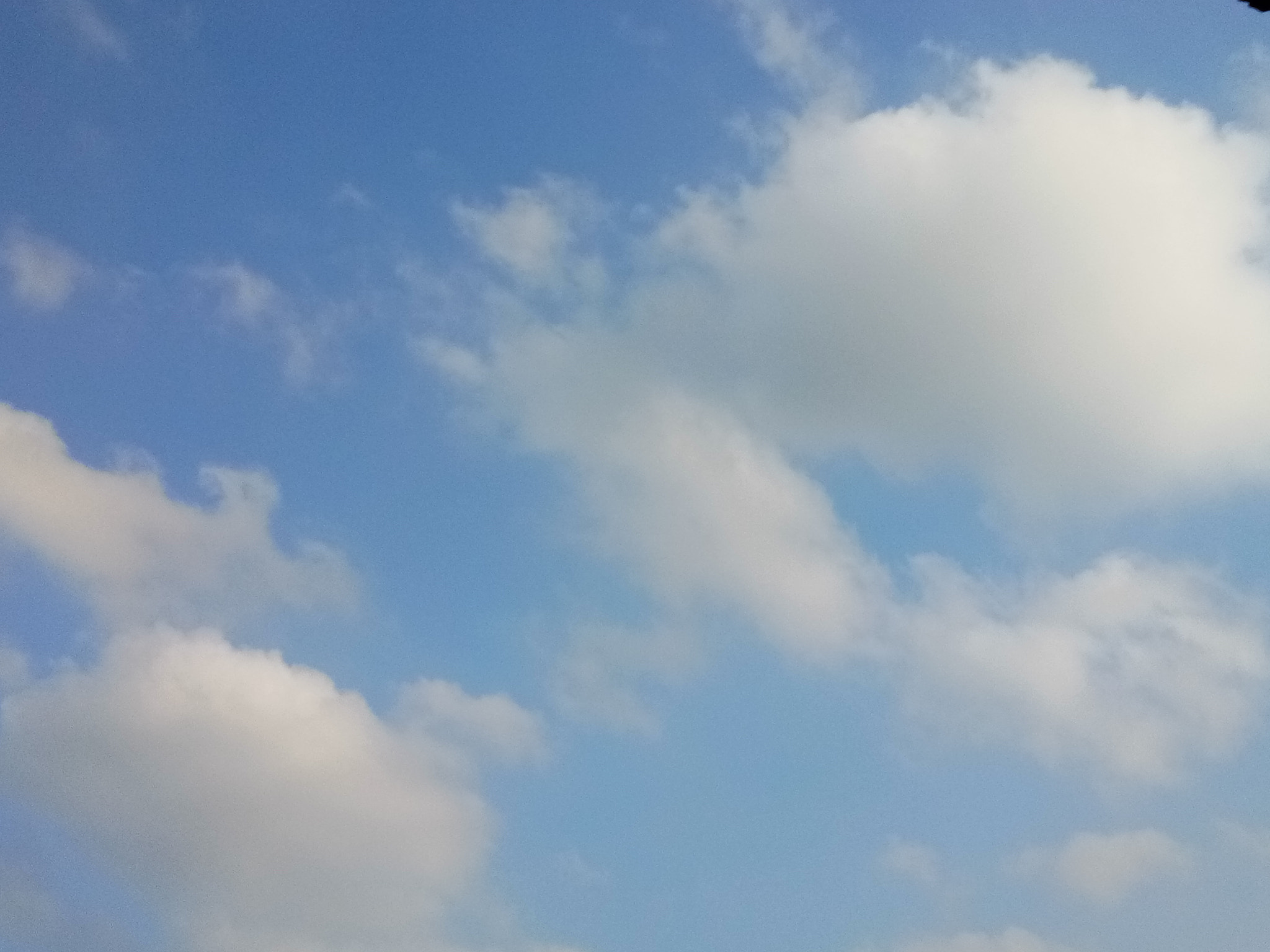 vivo Y67A sample photo