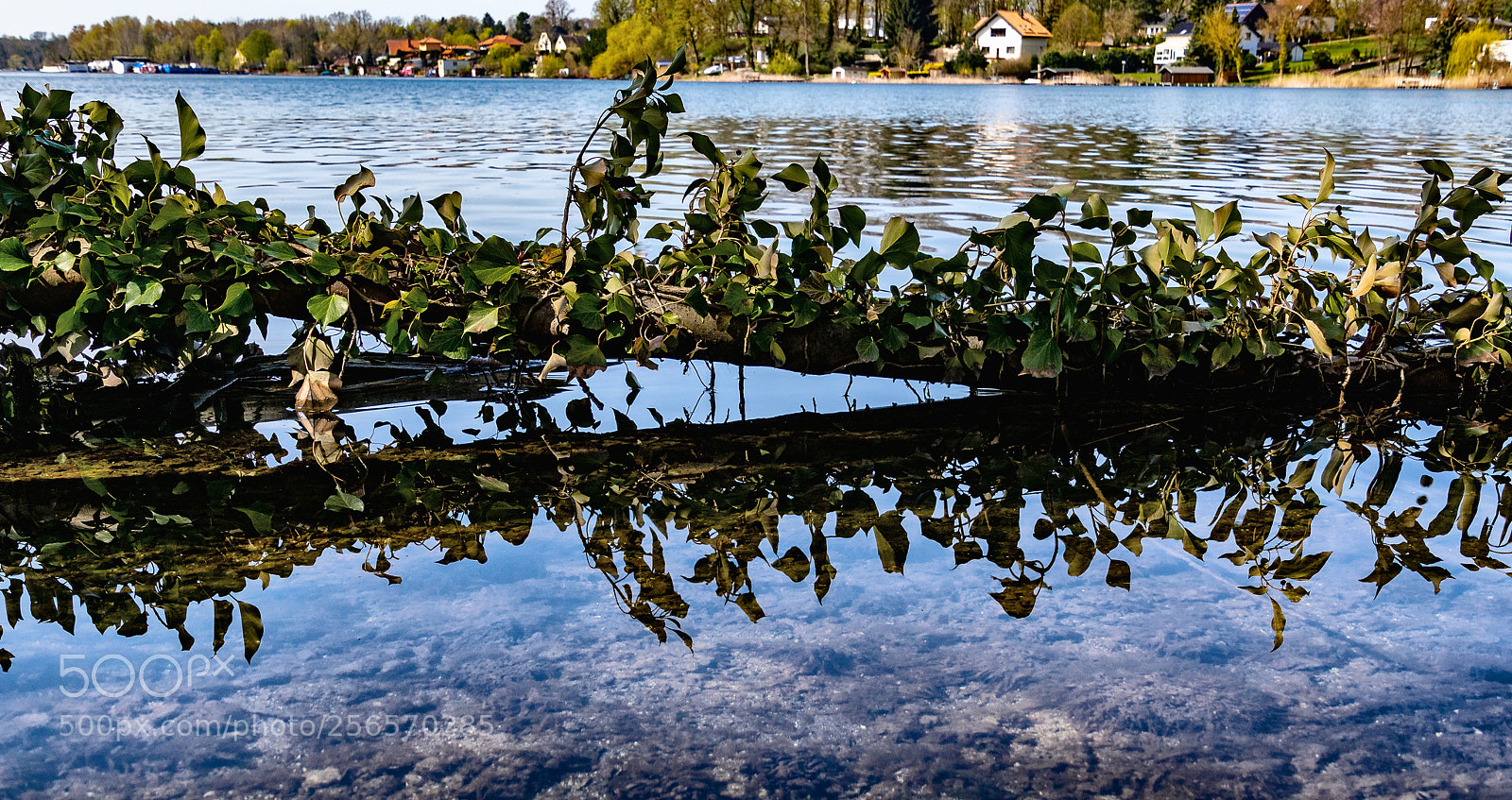Sony ILCA-77M2 sample photo. Reflections of a fallen photography