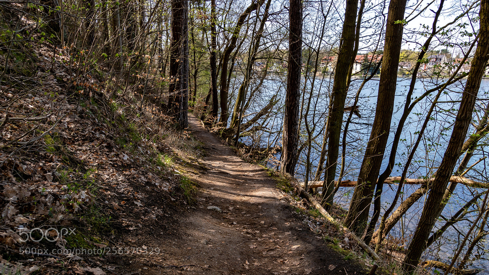 Sony ILCA-77M2 sample photo. Path along the lake photography