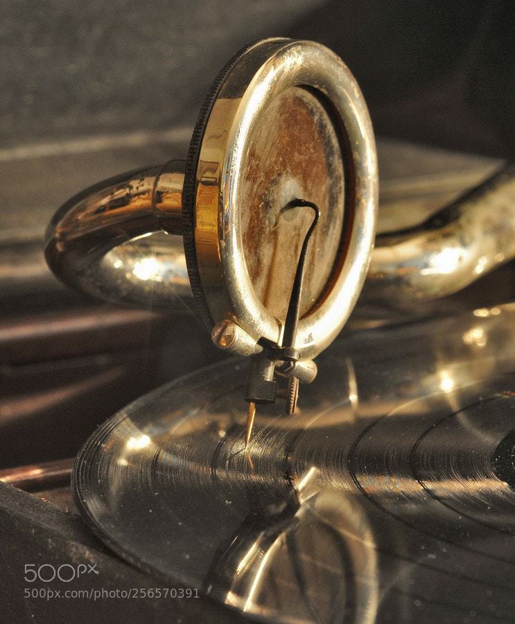 Nikon D300S sample photo. Have a scratch photography