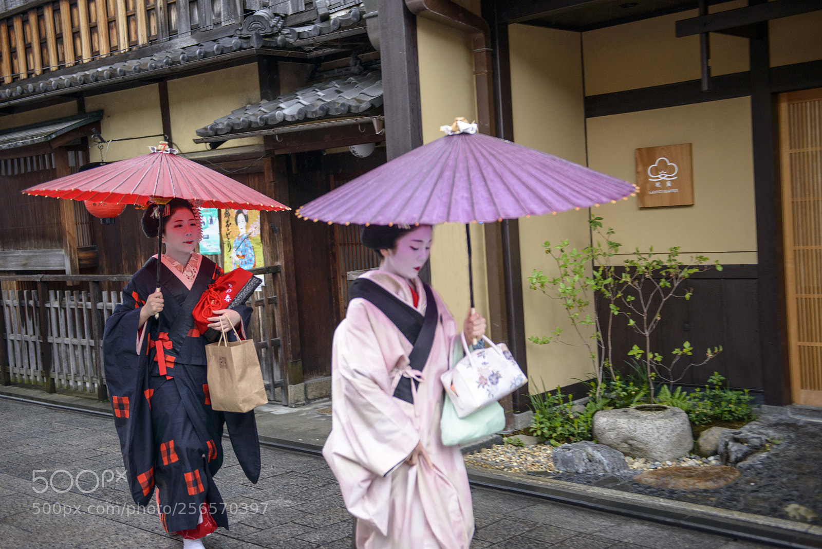Nikon D800 sample photo. Geisha (芸者) photography