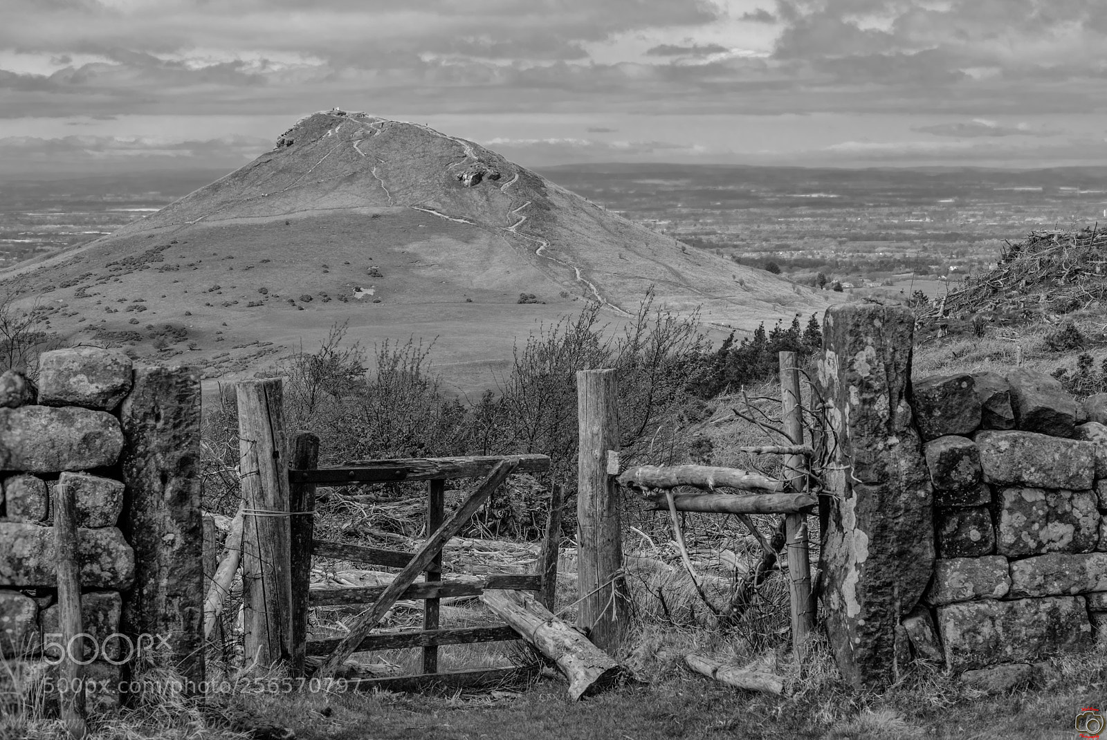 Fujifilm X-T2 sample photo. A black and white photography