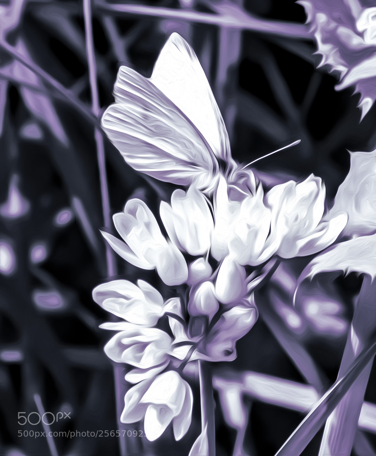 Nikon D7200 sample photo. Pinceladas en primavera. photography