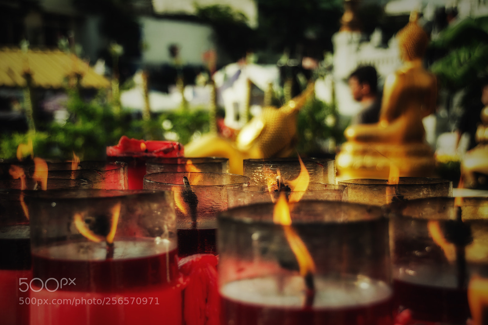 Nikon D7100 sample photo. Flames photography