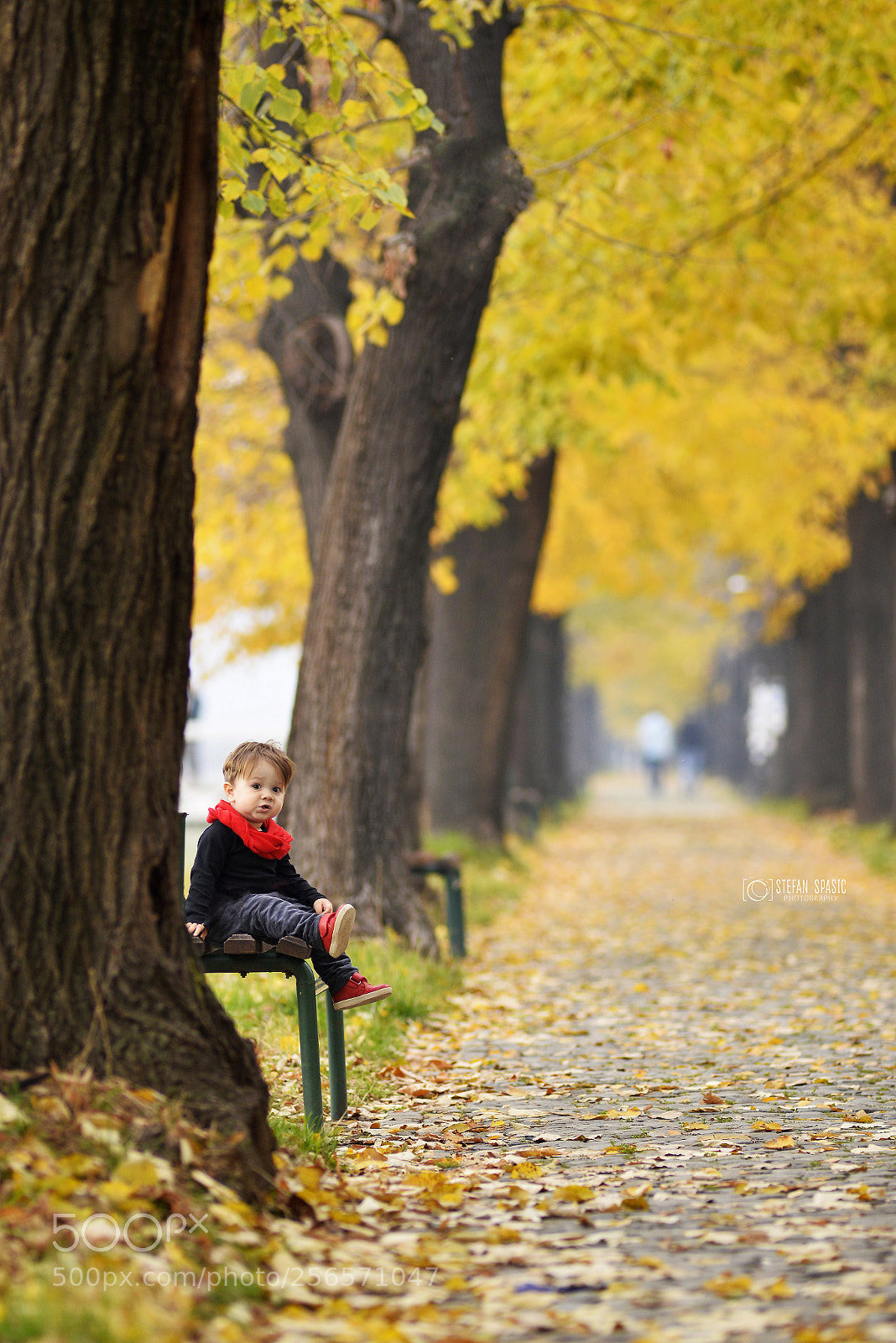 Nikon D610 sample photo. Autumn child photography