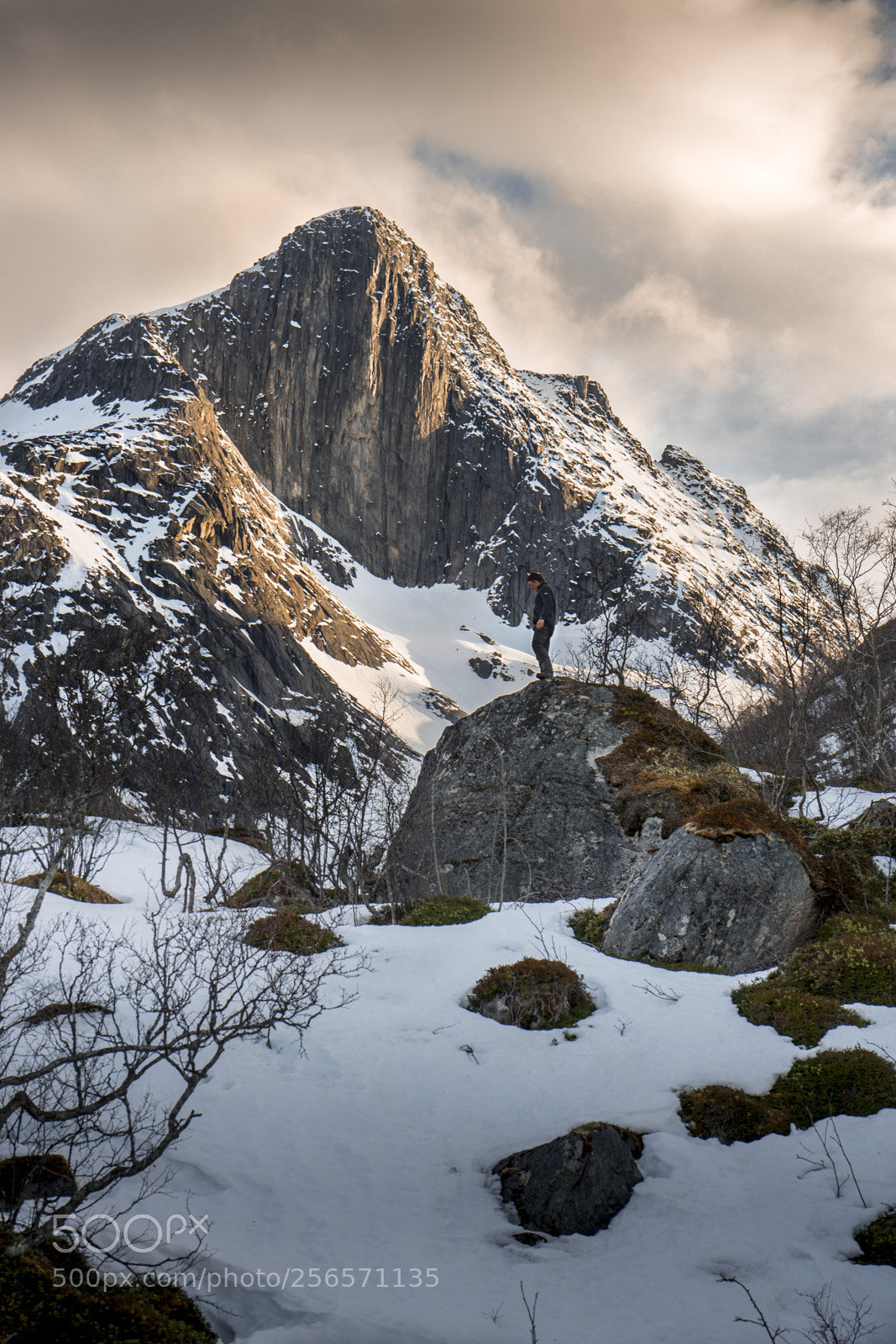 Sony a7 II sample photo. Store bl mann at photography