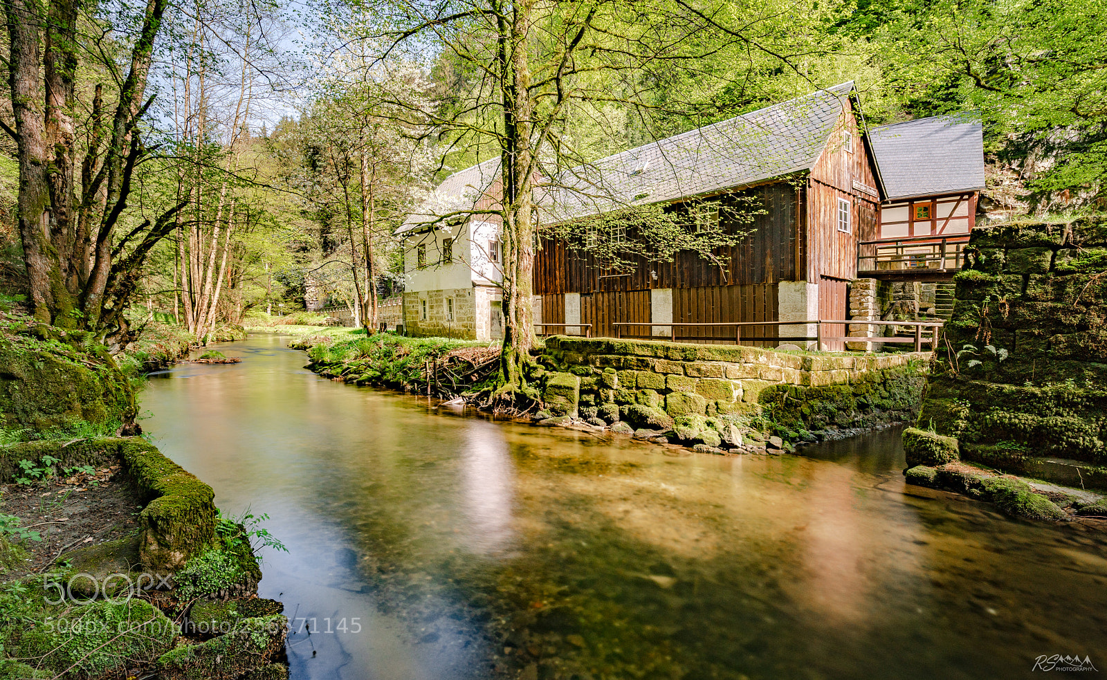 Sony a7R II sample photo. Neumann m hle, np photography