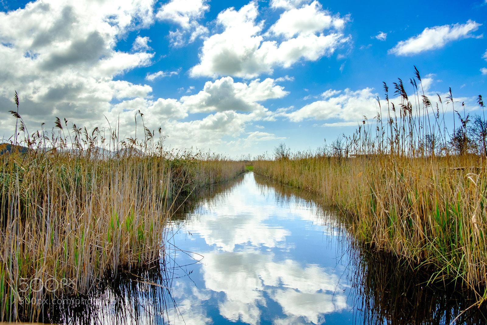 Fujifilm X-T20 sample photo. Sky mirroring photography