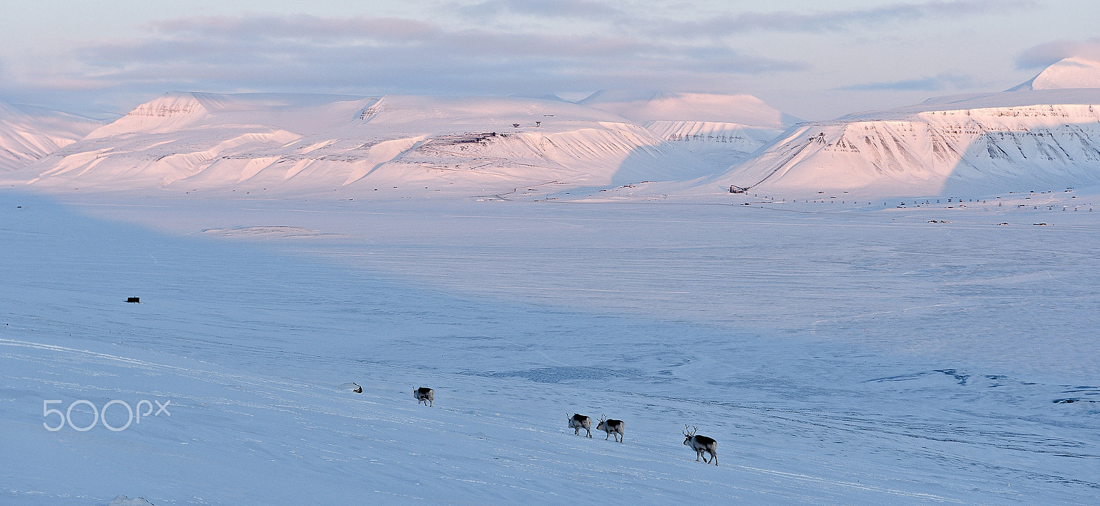 Nikon AF-S Nikkor 24-70mm F2.8G ED sample photo. Artic evening photography