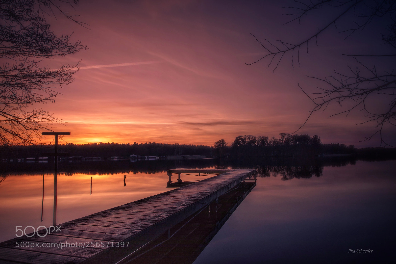 Canon EOS 5D Mark IV sample photo. Friedlicher moment photography