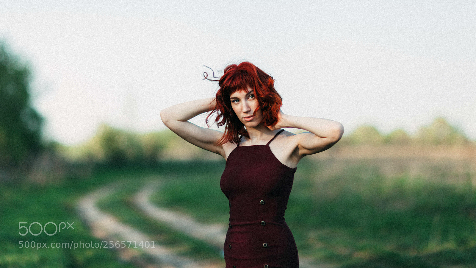Canon EOS 5D Mark II sample photo. Untitled photography