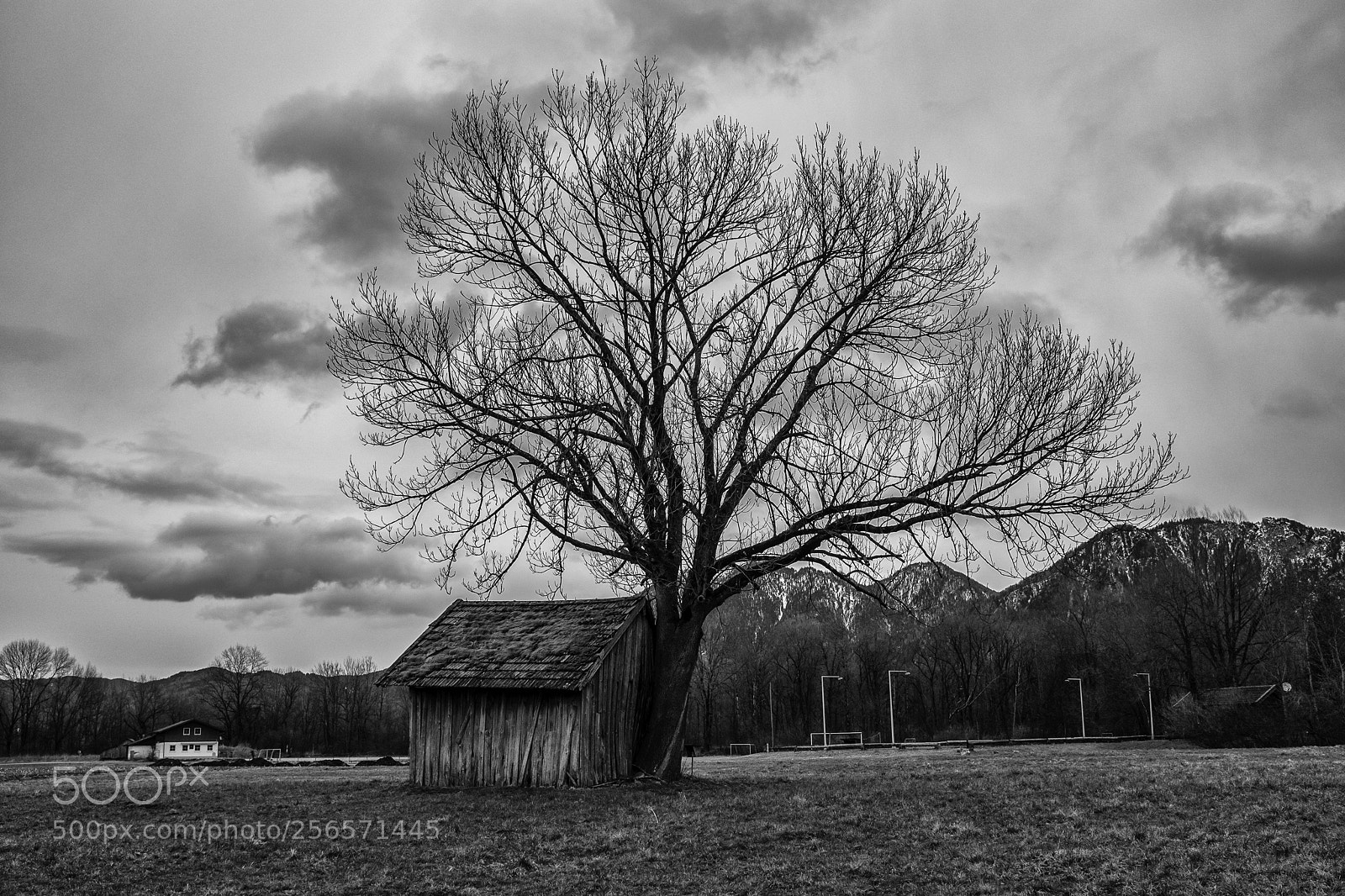 Fujifilm X100T sample photo. Power of nature photography