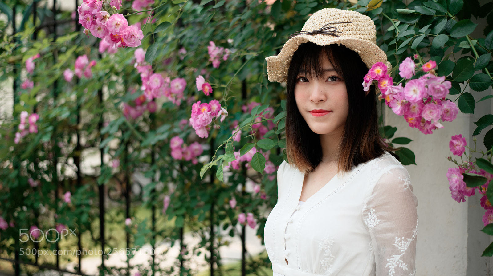 Nikon D750 + Nikon AF-S Nikkor 50mm F1.8G sample photo. Girl with rosebush photography