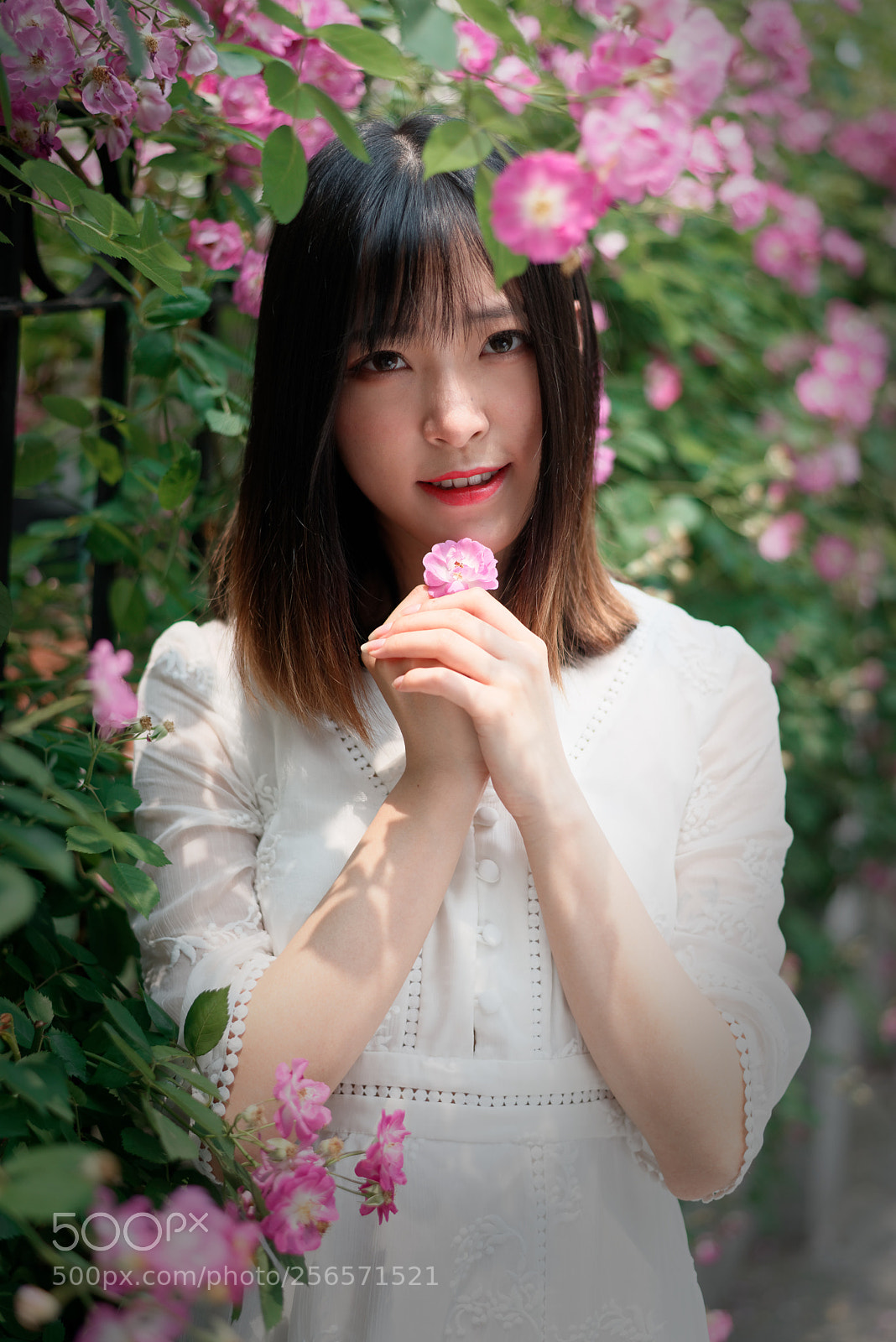 Nikon D750 + Nikon AF-S Nikkor 50mm F1.8G sample photo. Girl with rosebush photography