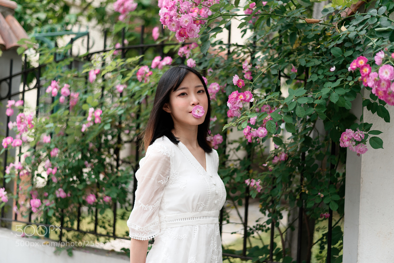 Nikon D750 + Nikon AF-S Nikkor 50mm F1.8G sample photo. Girl with rosebush photography