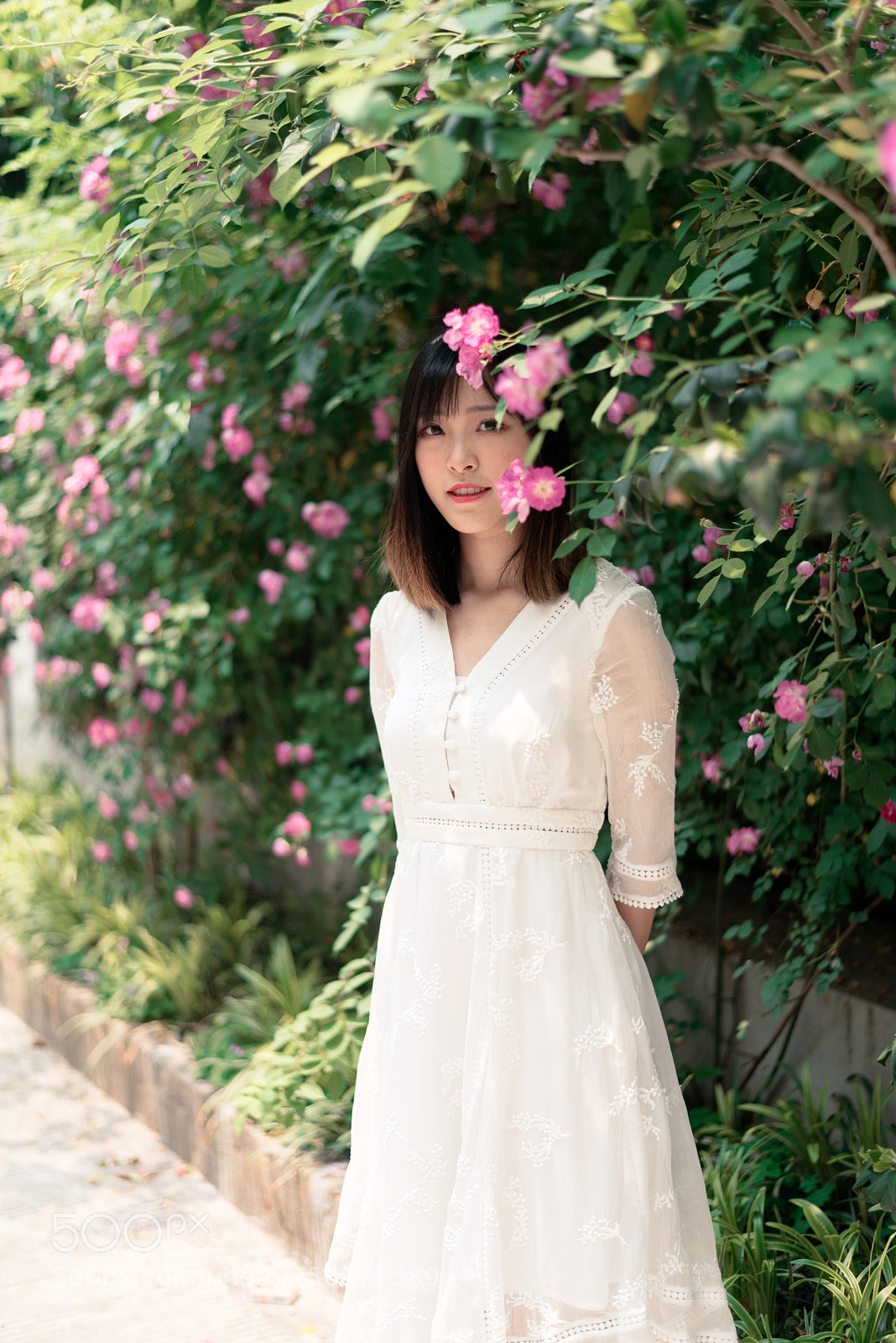 Nikon D750 + Nikon AF-S Nikkor 50mm F1.8G sample photo. Girl with rosebush photography