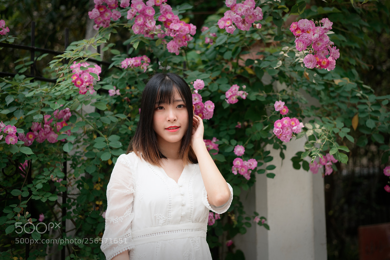 Nikon D750 + Nikon AF-S Nikkor 50mm F1.8G sample photo. Girl with rosebush photography