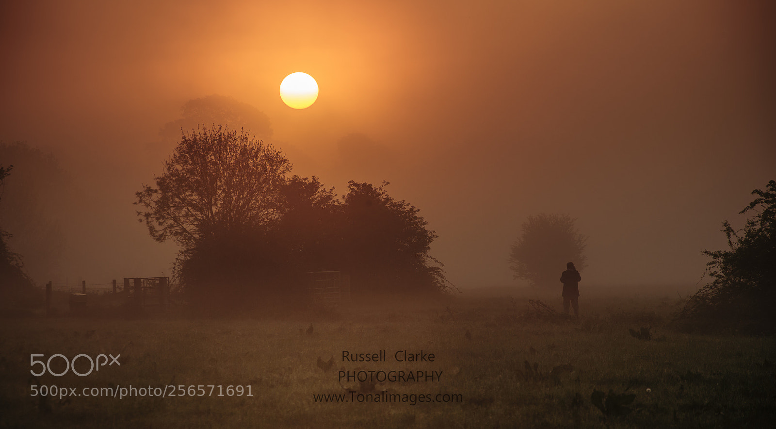 Nikon D700 sample photo. Photographer in the mist photography