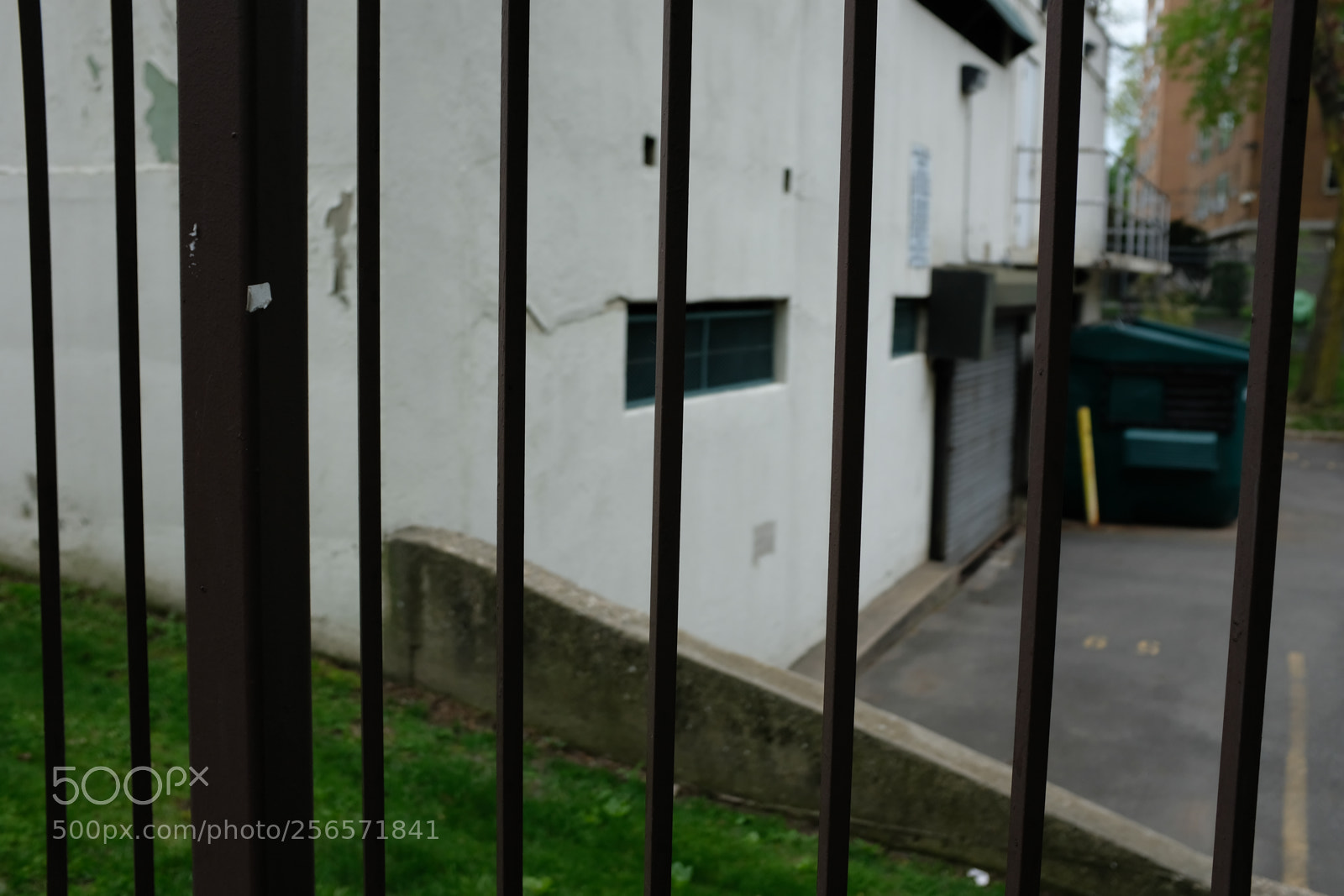 Fujifilm X100F sample photo. Nycha photography