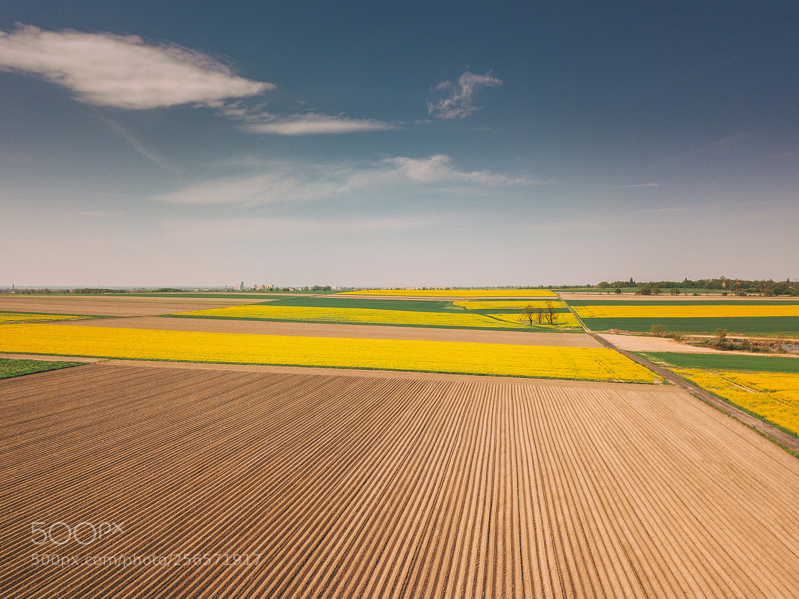 DJI FC220 sample photo. At high noon photography