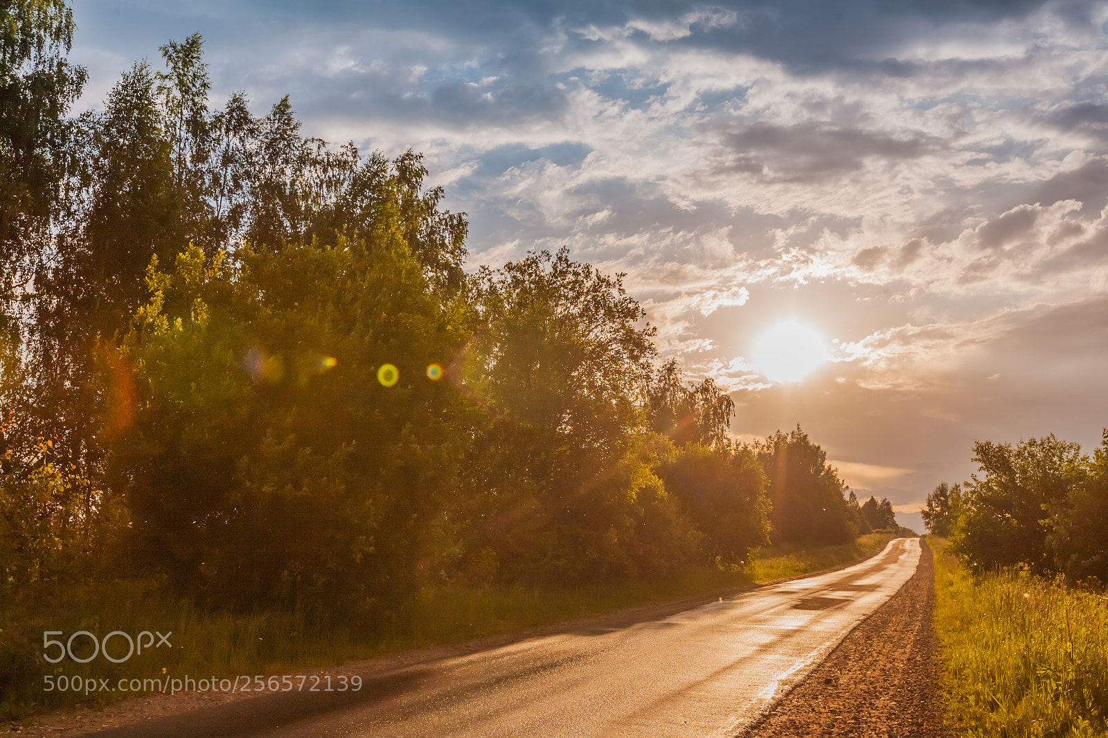 Canon EOS 5D sample photo. Road sunlight nature after photography