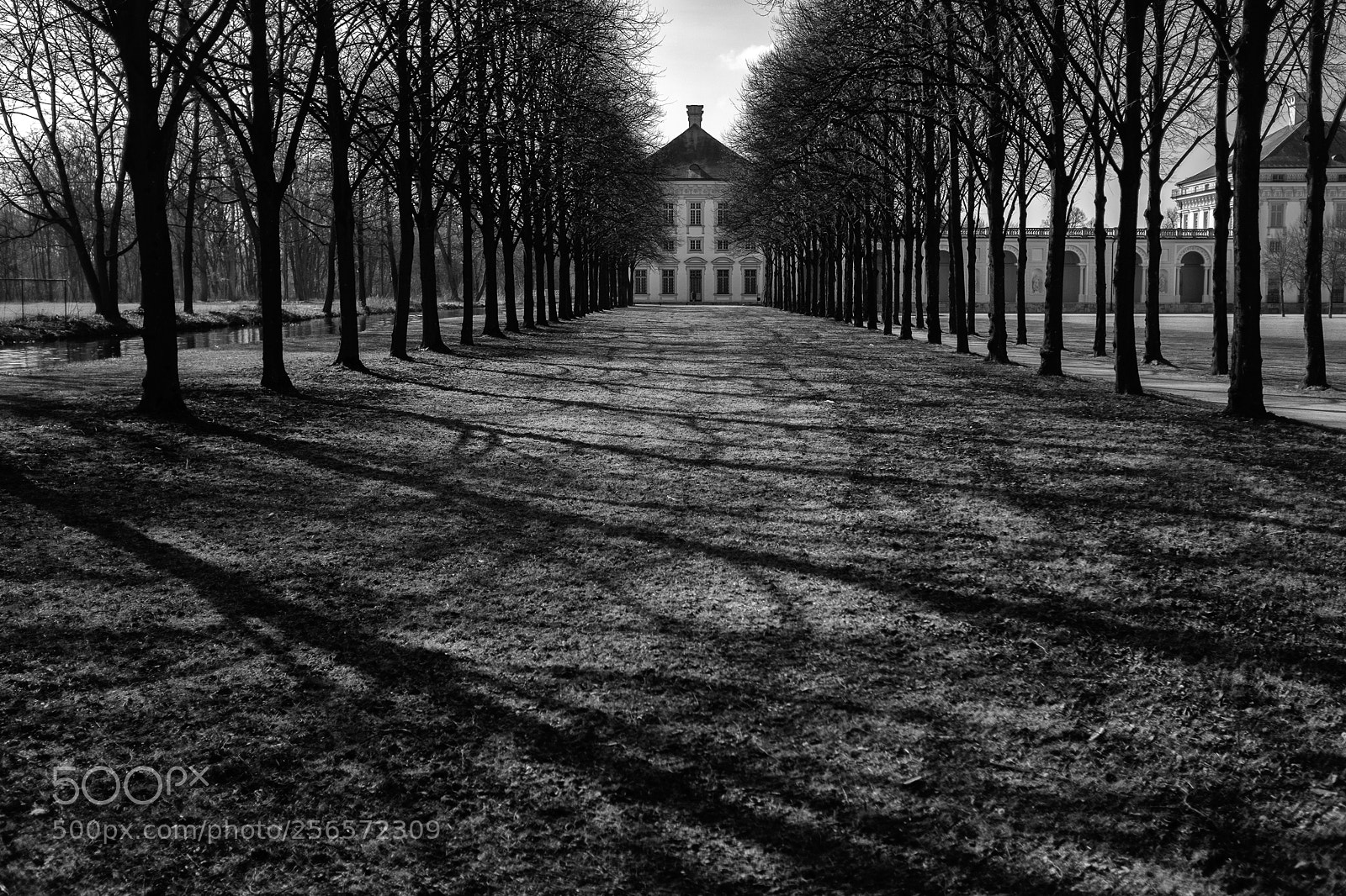 Fujifilm X100T sample photo. Shadowplay photography