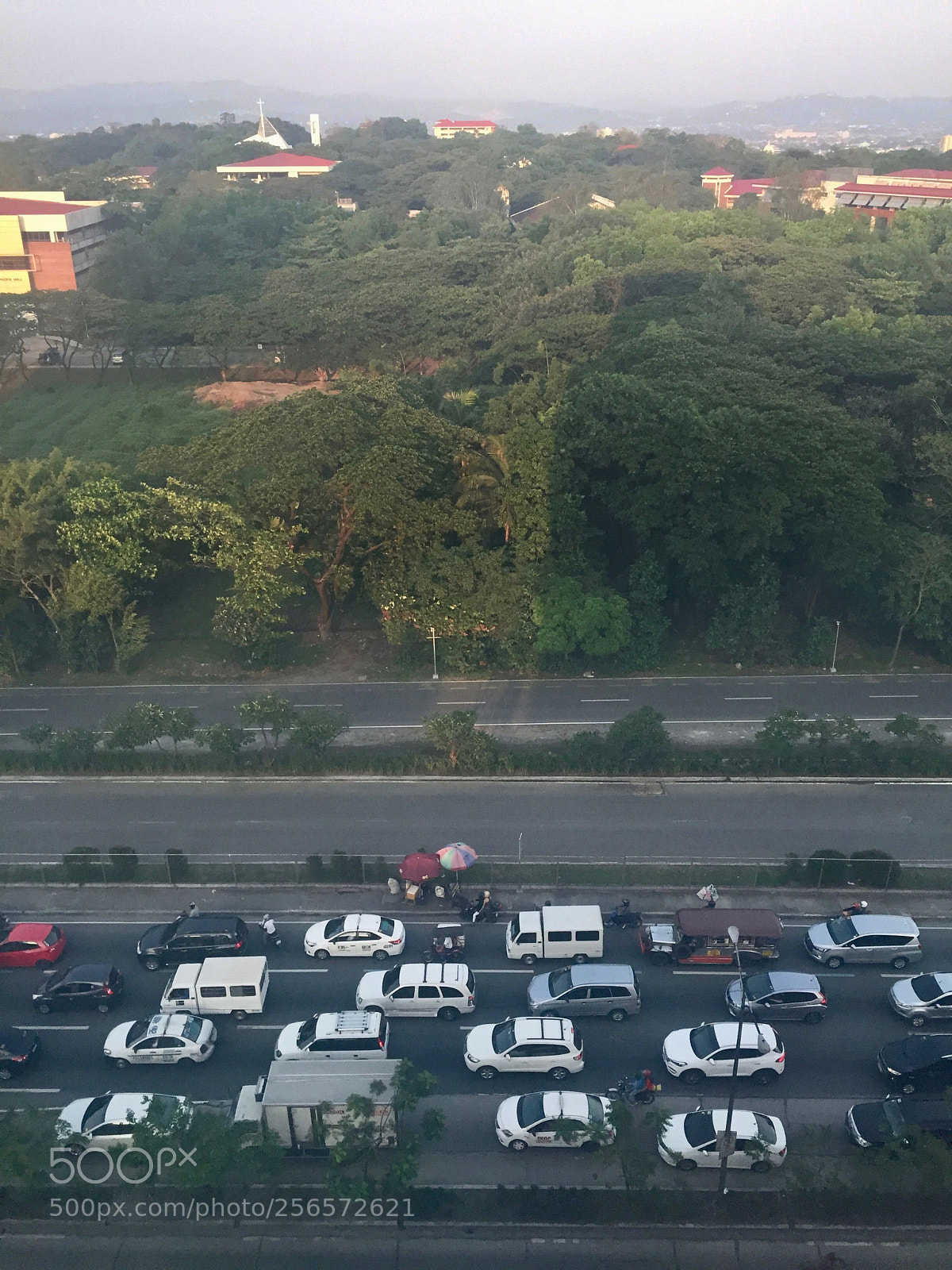 Apple iPhone 6 sample photo. Life beneath heaven and photography