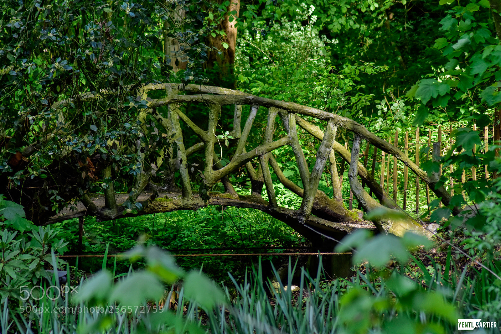Nikon D3400 sample photo. Wooden bridge photography